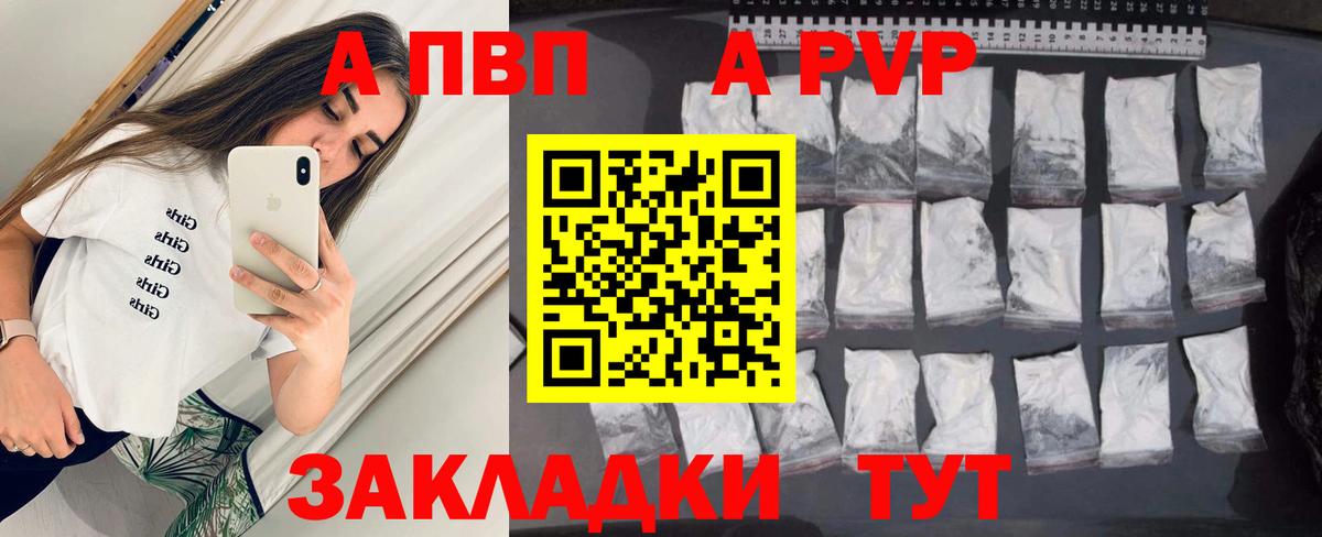 Альфа ПВП СК КРИС Кольчугино